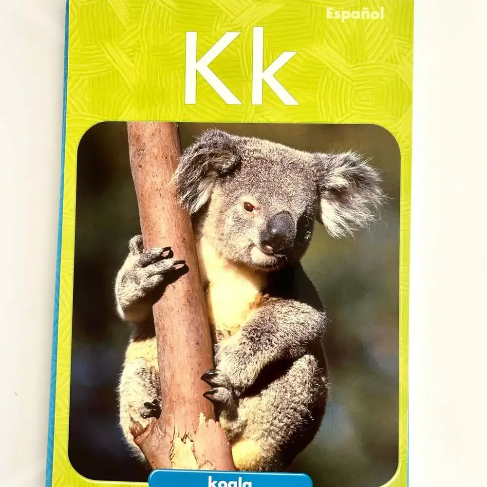 Reading Street PreK Alphabet Cards Eng./Span Homeschool Classroom Learning‎